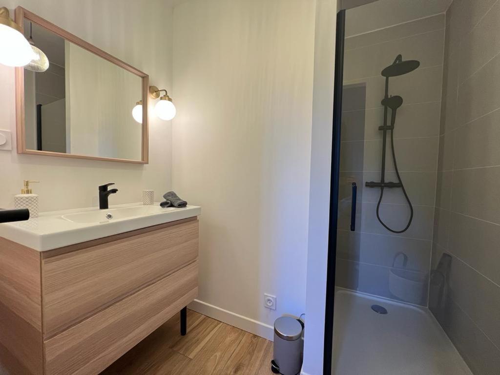 Appartement Coup De Coeur. St Etienne-Rochetaillee Saint-Etienne (Loire) Exterior foto